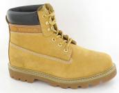 WL02EN-1